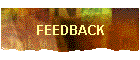FEEDBACK
